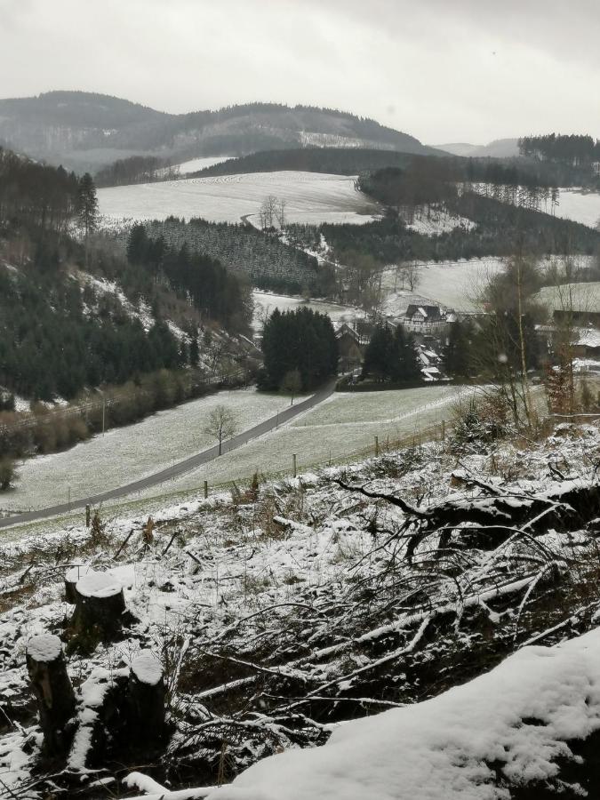 Kleines Ferienhaus Mit Charme Meschede Zewnętrze zdjęcie